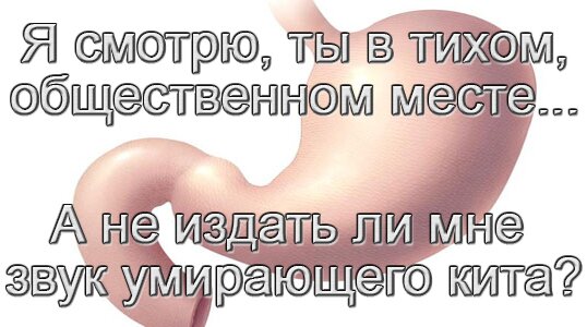 С кишечником лучше дружить!