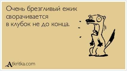 Свежесть на весь день!